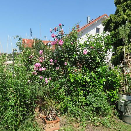 helles Dachstudio Allershausen Buitenkant foto